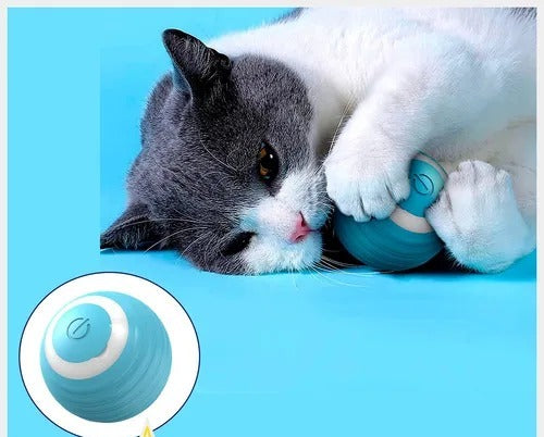 Magic Ball - La revolución en entretenimiento para tu peludo…